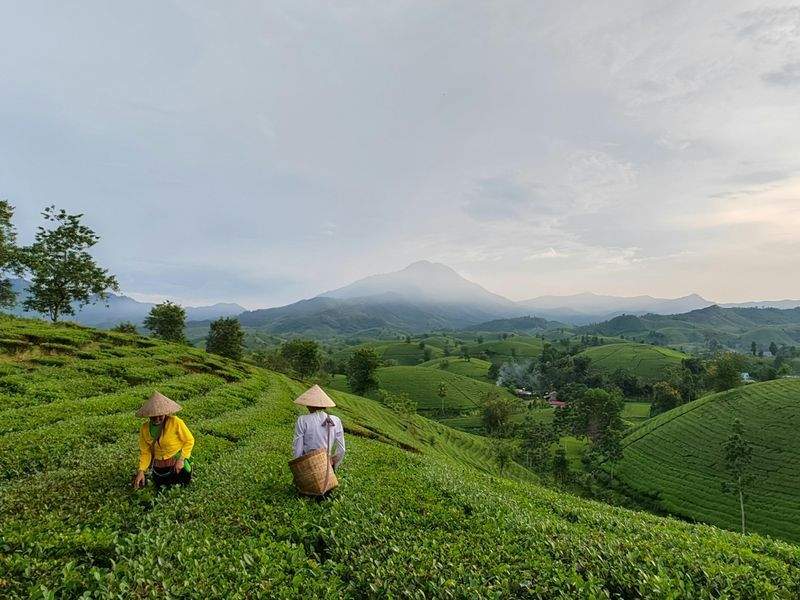 緑葉園 - Image 12