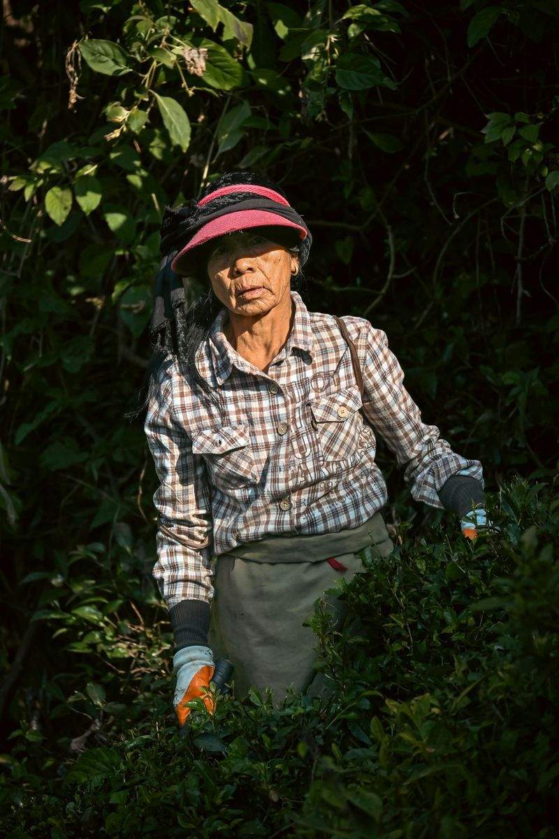 緑葉園 - Image 14